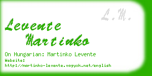 levente martinko business card